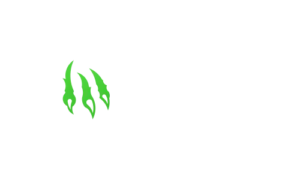 Wild.io crypto casino logo