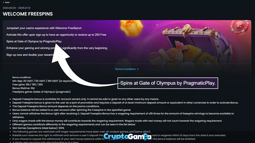 Crypto casino bonus on Gates of Olympus video slot