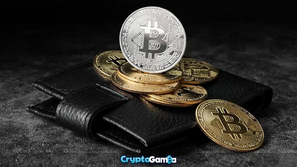 Leather wallet with Bitcoin coins
