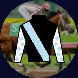 Journalism Horse and Shirt
