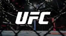 UFC 317 fight event logo